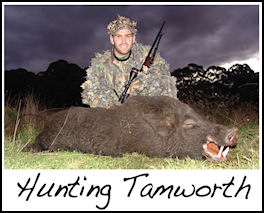 Hunting Tamworth - page 130 Issue 69 (click the pic for an enlarged view)